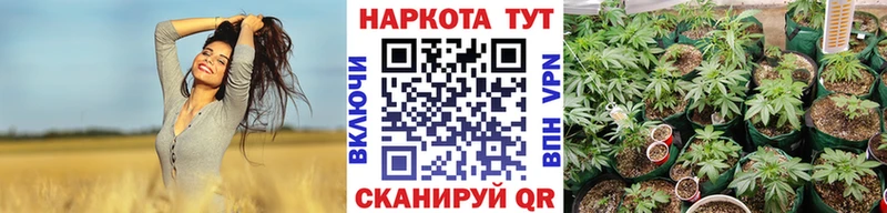 Купить закладку Канабис  Амфетамин  ГАШИШ  СК  МЕФ  ЭКСТАЗИ  Кокаин  Каргополь