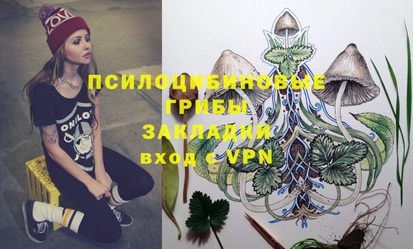 молекула духа Армянск