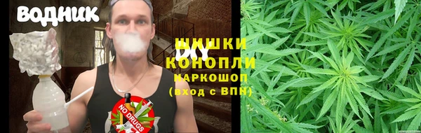крисы Аркадак
